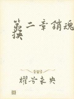 第二章销魂的交换