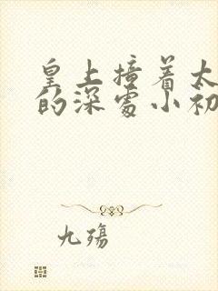 皇上撞着太子妃的深处小初