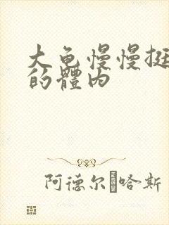 大龟慢慢挺进我的体内