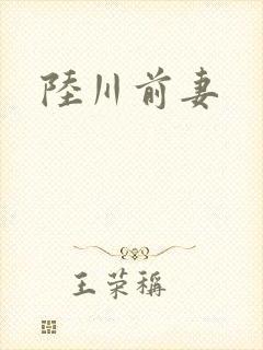 陆川前妻