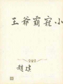王爷霸宠小甜妻