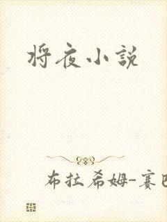将夜小说