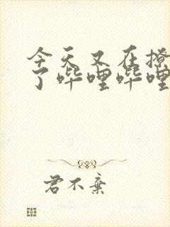 今天又在撩后妈了哔哩哔哩小说