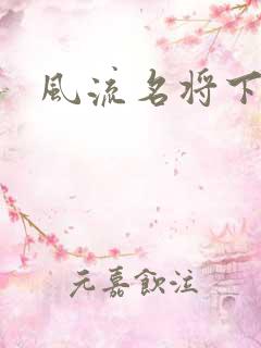 风流名将下载