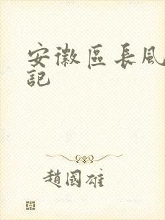 安徽区长风流日记