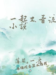 一起又看流星雨小说