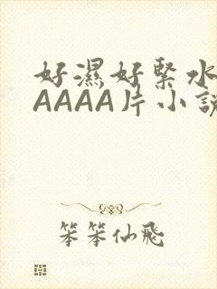 好湿好紧水多AAAAA片小说