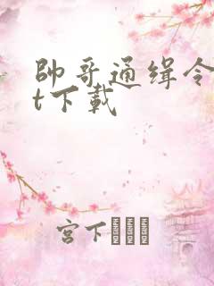 帅哥通缉令txt下载