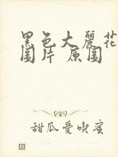 黑色大丽花真实图片 原图