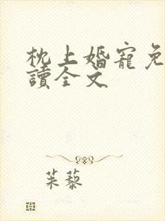 枕上婚宠免费阅读全文