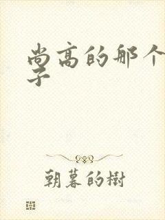 尚高的那个臭小子