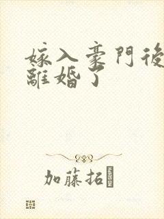 嫁入豪门后我又离婚了