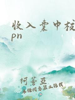 收入囊中校园hpn
