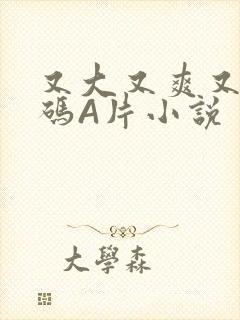 又大又爽又黄无码A片小说