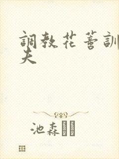 调教花蒂训诫从夫