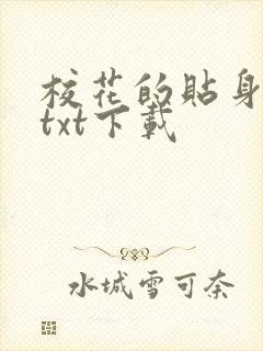 校花的贴身保镖txt下载