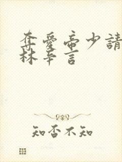 夺爱帝少请放手林辛言