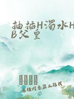 抽插H浊水H嫩B父皇