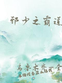 邪少之霸道娇妻