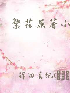 繁花原著小说