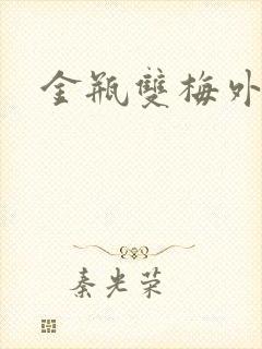 金瓶双梅外传
