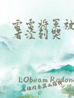 雷电将军被旅行者淦到哭