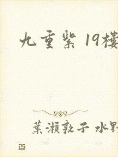 九重紫 19楼