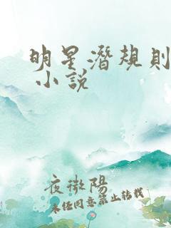 明星潜规则之皇 小说