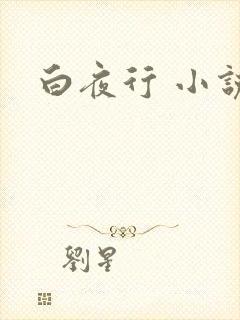 白夜行 小说