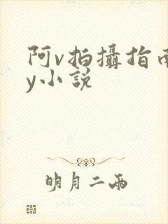 阿v拍摄指南by小说