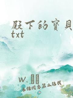 殿下的宝贝公主txt