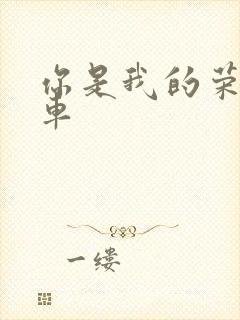 你是我的荣耀肉车