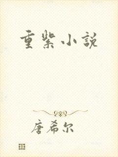 重紫小说