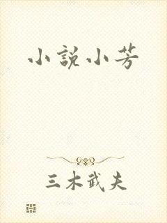 小说小芳