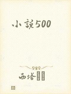 小说500