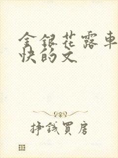 金银花露车速最快的文