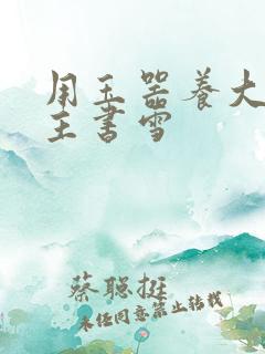 用玉器养大的公主书雪