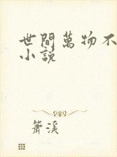 世间万物不及你小说