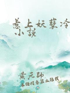 惹上妖孽冷殿下 小说