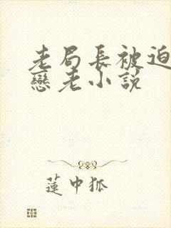 老局长被迫为奴恋老小说