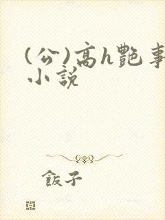 (公)高h艳事小说