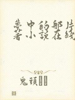 梦中的那片海原著小说在线阅读