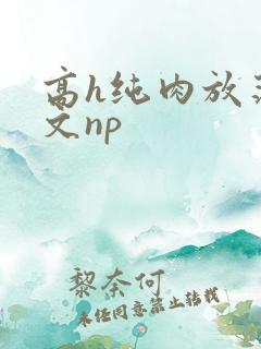 高h纯肉放荡h文np