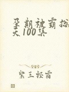 孕期被霸总宠上天100集