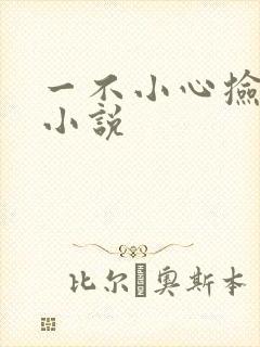 一不小心捡到爱小说