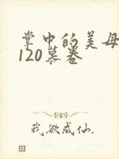 掌中的美母版主120慕卷