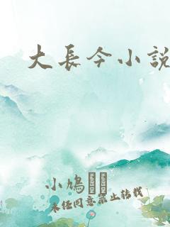 大长今小说下载