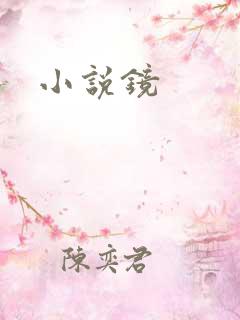 小说镜