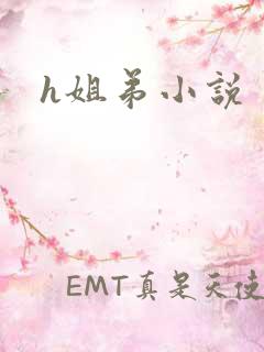 h姐弟小说