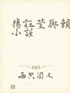 杨钰莹与赖昌星小说